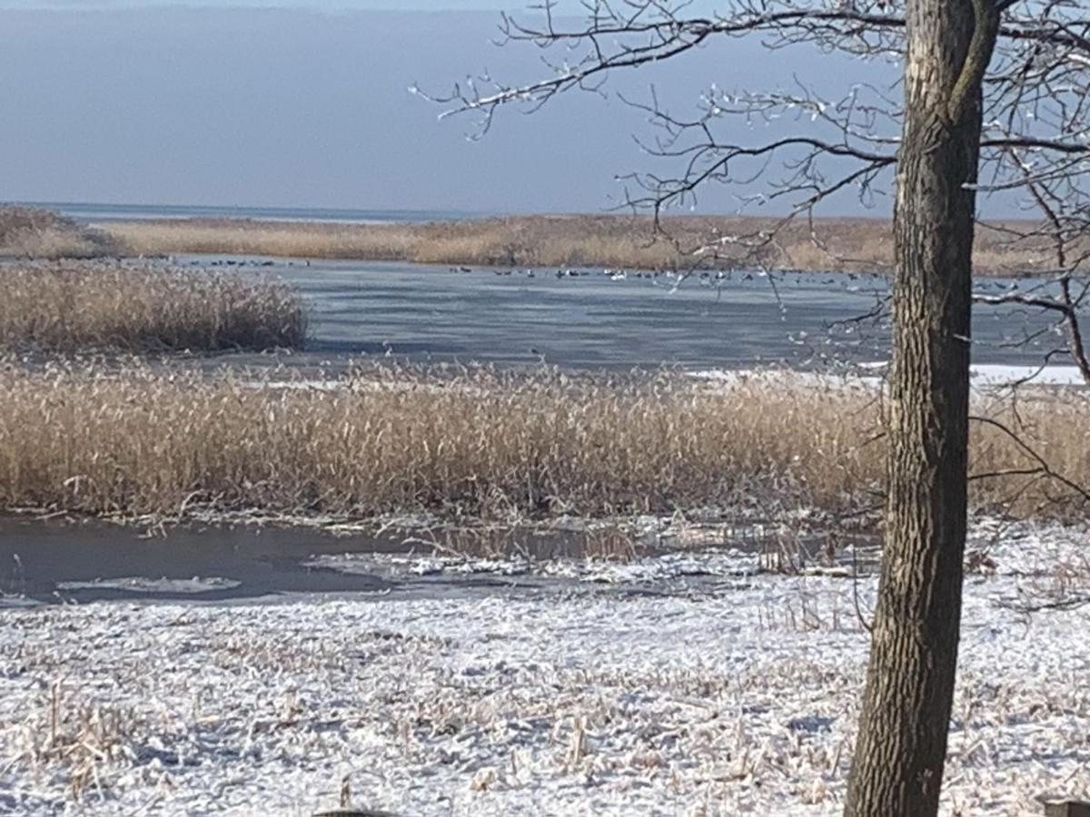 Lakeview & Wildlife Au Gres Exterior foto